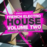 French Electro House Vol 2 cover art
