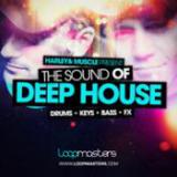 Harley & Muscle Present The Sound Of Deep House cover art
