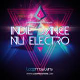 Indie Dance And Nu Electro cover art