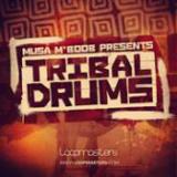 Musa MBoob Presents - Tribal Drums cover art