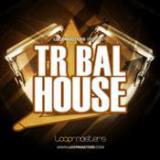Tribal House cover art